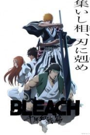 Bleach Thousand Year Blood War